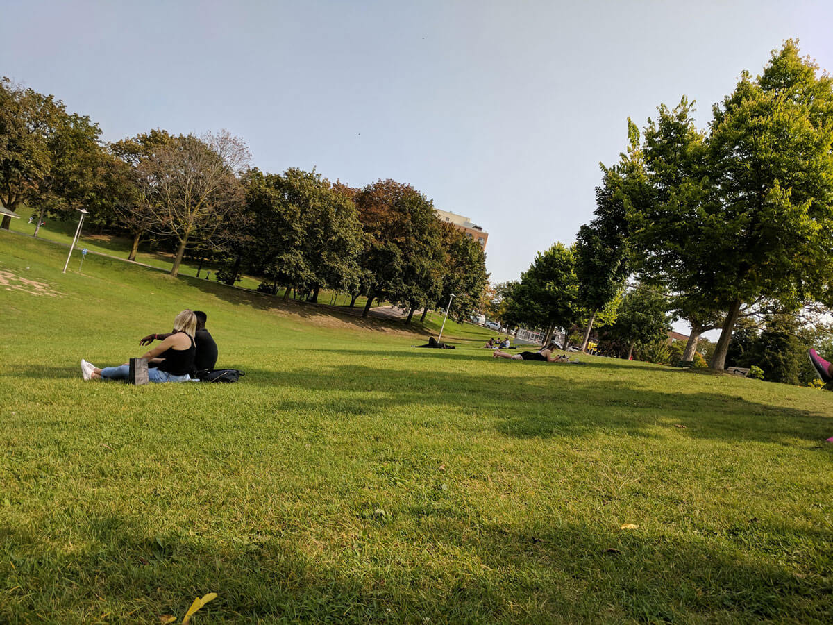 Citizens of Toronto relaxing at Chrisie Pits Park