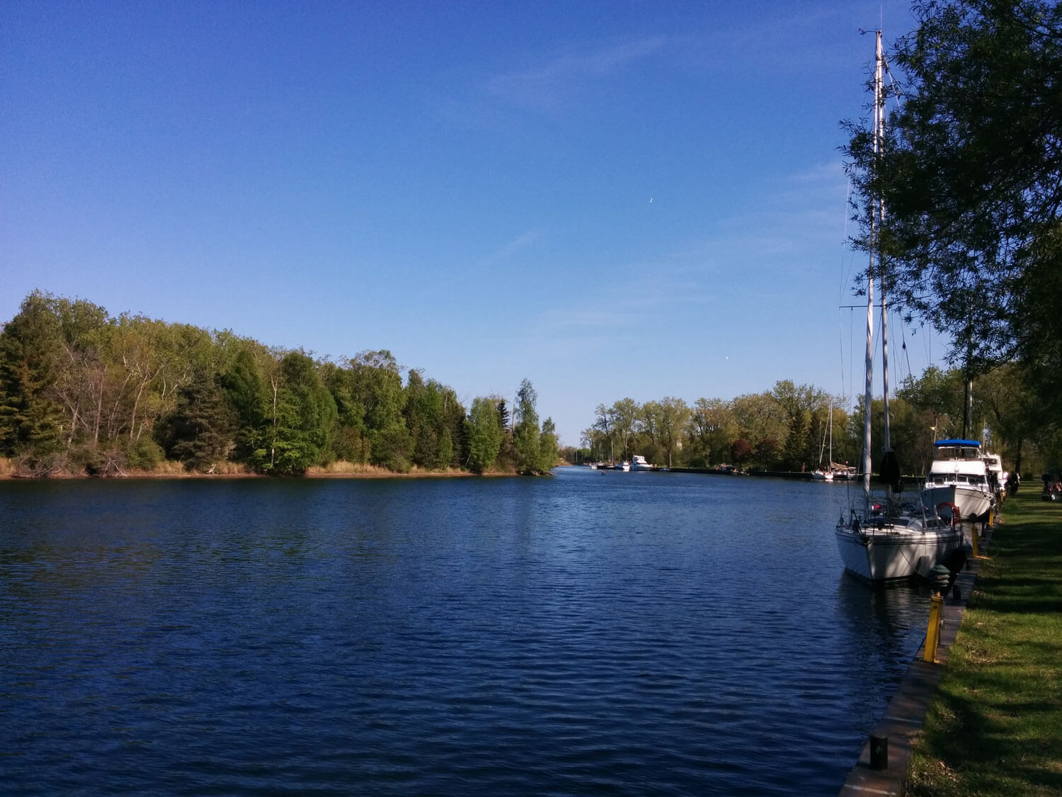 A photo of a green park overlooking the water.