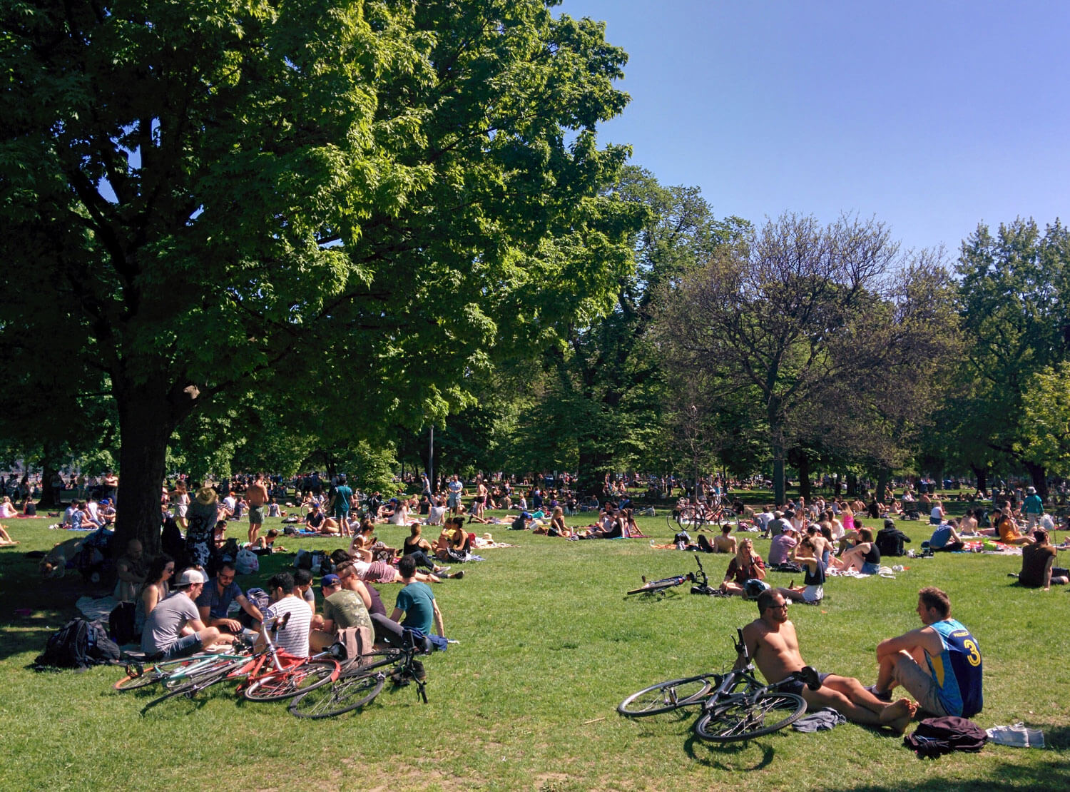Torontonians enjoy a warm day at the park.